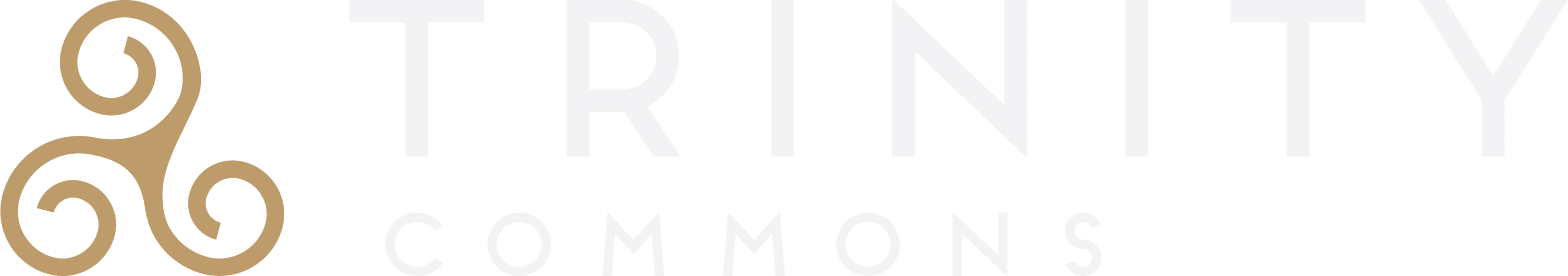 Trinity Commons at Erwin