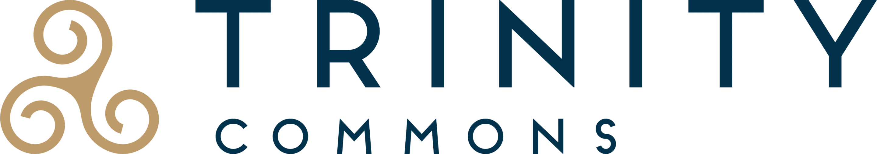 Trinity Commons at Erwin